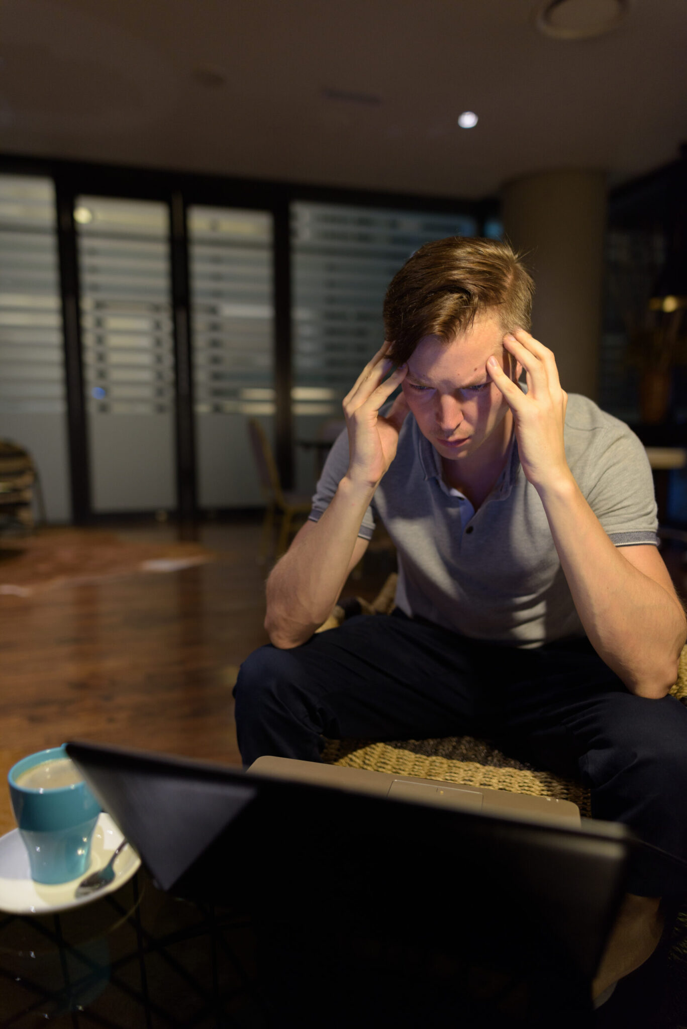 Portrait of young handsome man using laptop in the living room